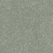 Ultima Twist Collection Shadow carpet by Westex