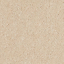 Ultima Twist Collection Sherbet carpet by Westex