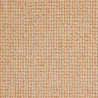 Barrington Loop Soya carpet by Westex