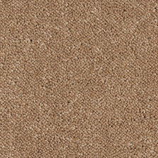 Ultima Twist Collection Springbok carpet by Westex