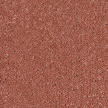 Ultima Twist Collection Squirrel carpet by Westex