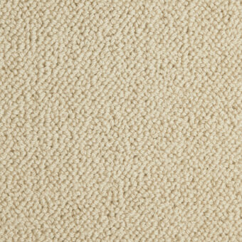 Pure Luxury Grandeur Star carpet by Westex