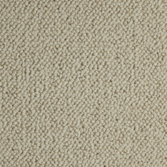 Pure Luxury Grandeur Stoat carpet by Westex