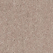 Ultima Twist Collection Stone carpet by Westex