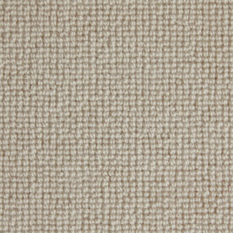 Barrington Loop Stucco carpet by Westex