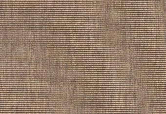 Anywhere Boucle Syrup carpet by Alternative Flooring