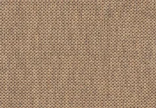 Anywhere Panama Syrup carpet by Alternative Flooring