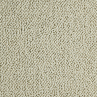 Pure Luxury Grandeur Tephragrey carpet by Westex