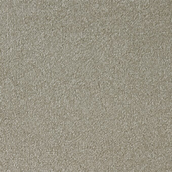 Elysian Velvet Collection Travertine carpet by Westex
