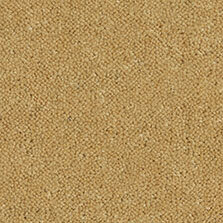 Ultima Twist Collection Tuscan Harvest carpet by Westex