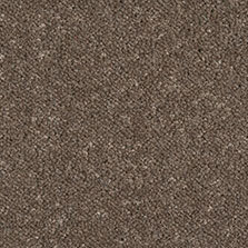Ultima Twist Collection Walnut carpet by Westex