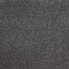 Elysian Velvet Collection Wolf carpet by Westex
