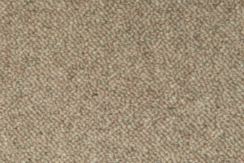 Cesar Life Barley 904 carpet by Causeway Carpets
