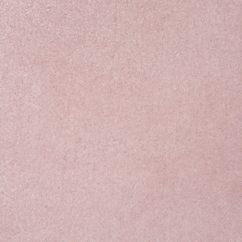 Santa Cruz Blush 8616 carpet by Causeway Carpets