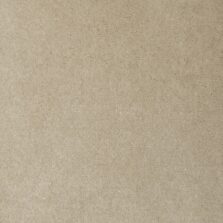 Santa Cruz Chamois 8603 carpet by Causeway Carpets