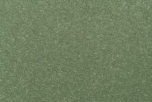 Fatima Velvet Cooking Apple 21 carpet by Causeway Carpets