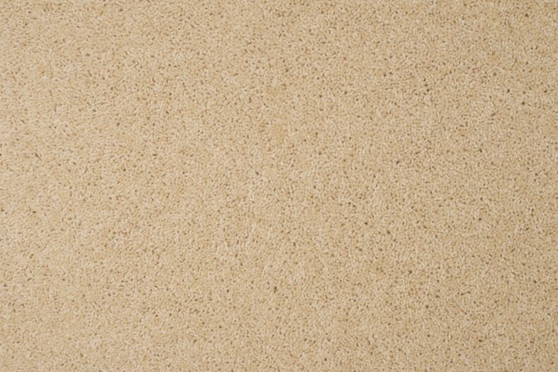 Tomar Twist Deluxe Cornish Cream 03 carpet by Causeway Carpets