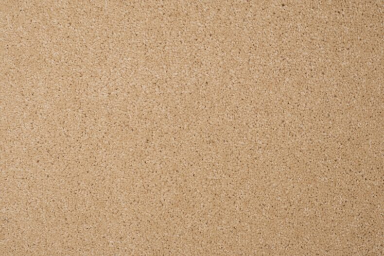 Tomar Twist Supreme Dune 04 carpet by Causeway Carpets