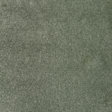 Santa Cruz Fairway 8611 carpet by Causeway Carpets