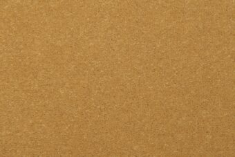 Fatima Velvet Mascarpone 27 carpet by Causeway Carpets