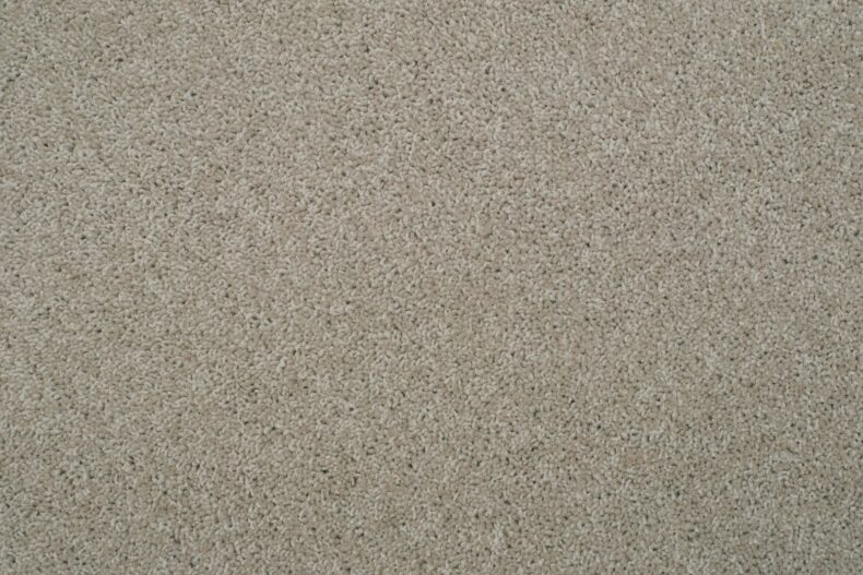 Tomar Twist Supreme Nubuck 08 carpet by Causeway Carpets