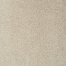 Santa Cruz Nutmeg 8613 carpet by Causeway Carpets