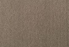 Cela Spleandour Pampas 2705 carpet by Causeway Carpets