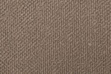 Cela Elegance Pampas 2805 carpet by Causeway Carpets