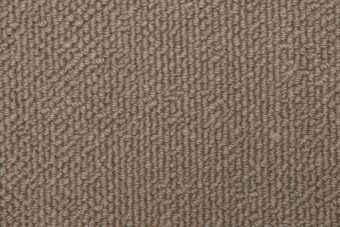 Cela Elegance Pampas 2805 carpet by Causeway Carpets