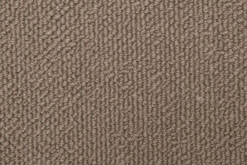 Cela Elegance Pampas 2805 carpet by Causeway Carpets