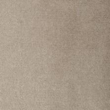 Santa Cruz Pumice 8614 carpet by Causeway Carpets