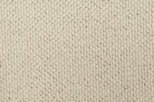 Cela Elegance Tusk 2803 carpet by Causeway Carpets