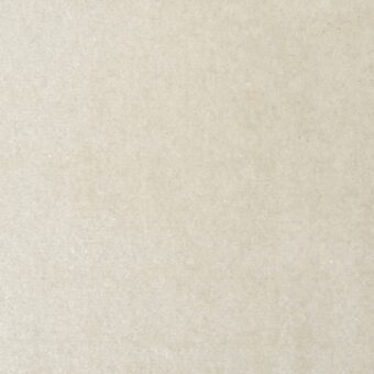 Santa Cruz Warm Stone 8602 carpet by Causeway Carpets