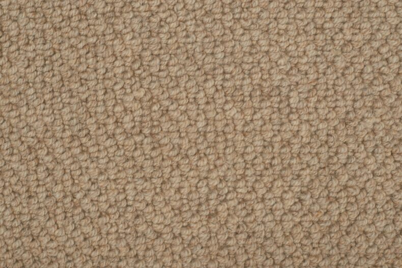 Elemental Harmonies Hitch Wild Rice 11 carpet by Causeway Carpets