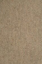 Elemental Harmonies Bobbin Wild Rice 11 carpet by Causeway Carpets