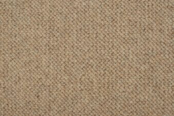 Elemental Harmonies Sugarwheel Wild Rice 11 carpet by Causeway Carpets