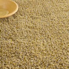 Sprout Ceylon Sand 13326 rug by Brink