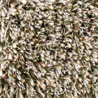 Spring Moss 59137 rug by Brink