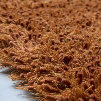 Sprout Terracotta 13323 rug by Brink