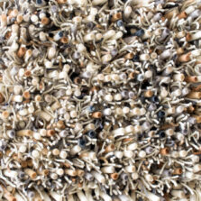 Spring Natural 59111 rug by Brink