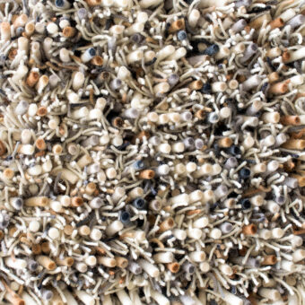 Spring Natural 59111 rug by Brink
