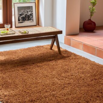 Sprout Terracotta 13323 rug by Brink