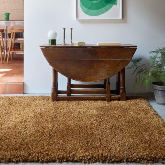 Sprout Burnt Tangerine 13316 rug by Brink