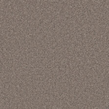 Primo Naturals Basalt carpet by Cormar Carpets