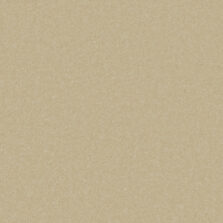 Primo Plus Beachcomber carpet by Cormar Carpets
