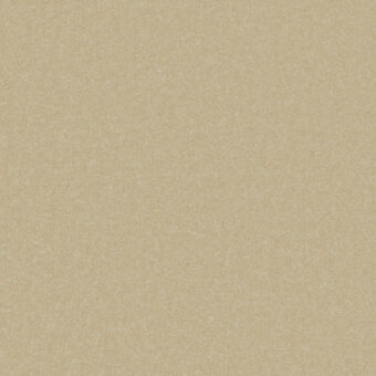 Primo Plus Beachcomber carpet by Cormar Carpets