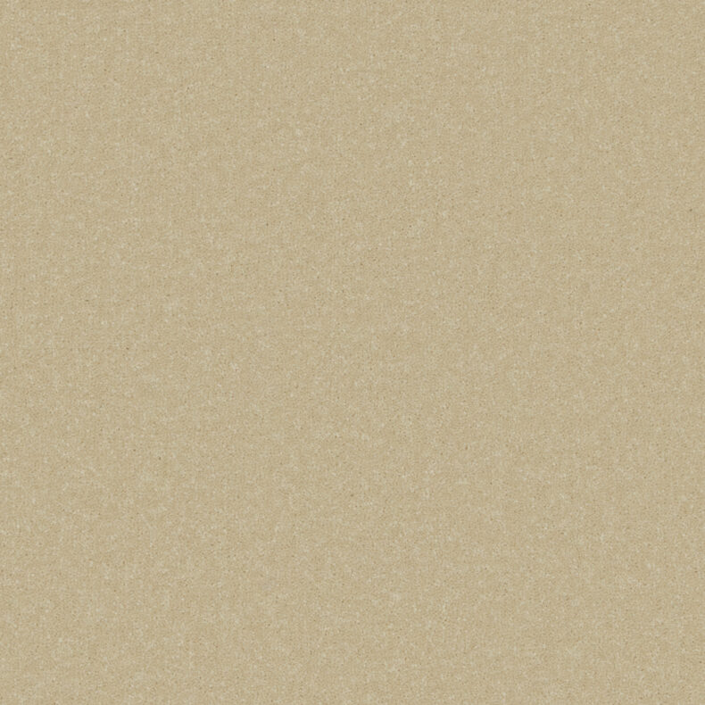 Primo Plus Beachcomber carpet by Cormar Carpets