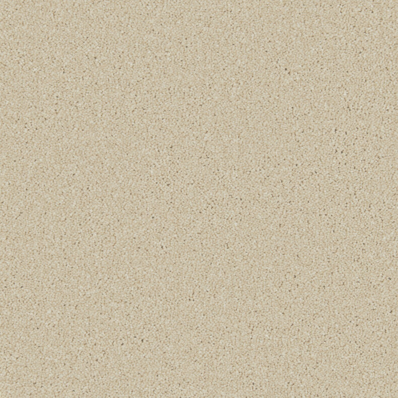 Zenith Caribou carpet by Cormar Carpets