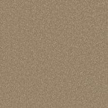 Primo Plus Chenille carpet by Cormar Carpets