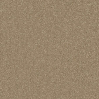 Primo Plus Chenille carpet by Cormar Carpets